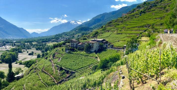 Beverfood - Sforzato Wine Stage, la Salò-Aprica sarà la tappa dedicata al vino del Giro d’Italia 2022